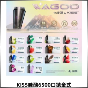 KIS5哇酷6500口拋棄式 | 自由混搭雙口味 | 雙芯組合